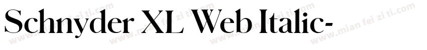 Schnyder XL Web Italic字体转换